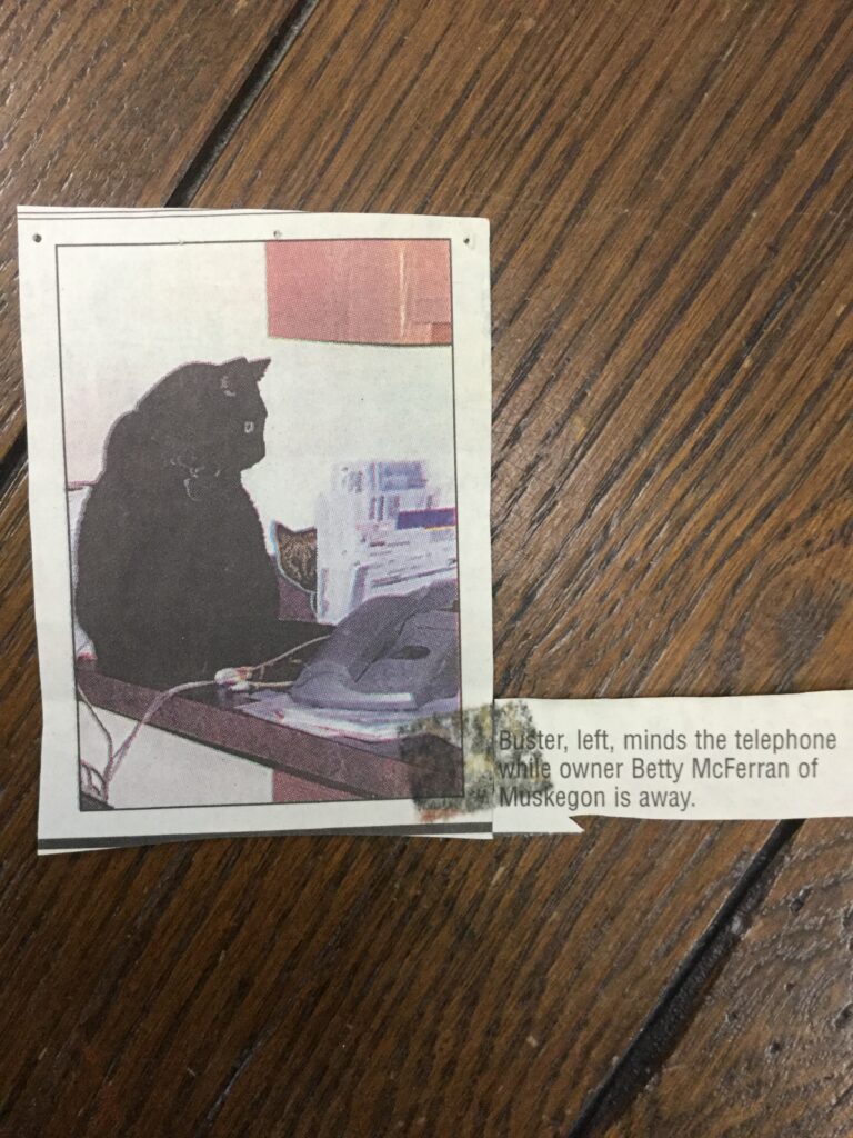 A newspaper clipping on a wood floor.  The clipping features a black cat sitting on the church office desk.